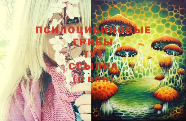 мет Майский