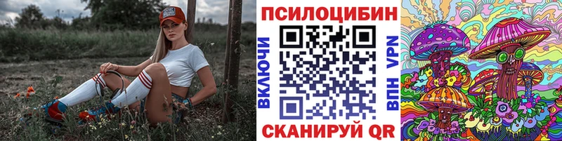 Псилоцибиновые грибы прущие грибы  купить   Курган 
