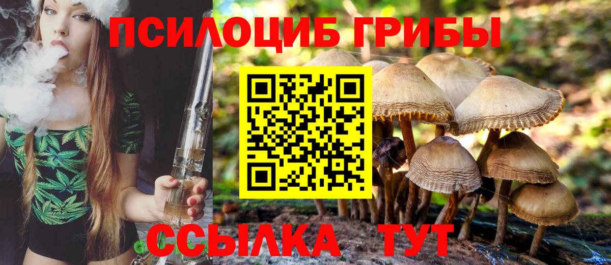 Галлюциногенные грибы Psilocybe  Вход с VPN  Курган 