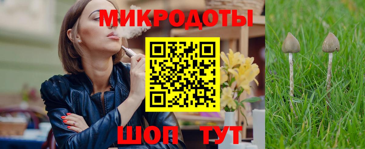 Псилоцибиновые грибы ЛСД Курган