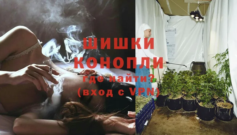 что такое наркотик  Курган  Бошки марихуана OG Kush 