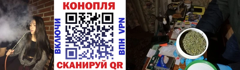 продажа наркотиков  Курган  Бошки Шишки VHQ 